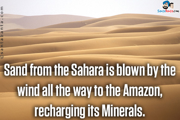 Sand from the Sahara is blown by the wind all the way to the Amazon, recharging its Minerals. 