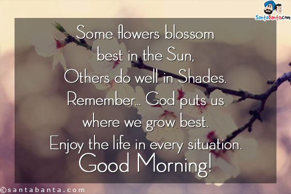 Some flowers blossom best in the Sun,<br />
Others do well in Shades. Remember... God puts us where we grow best.<br />
Enjoy the life in every situation.<br />
Good Morning!