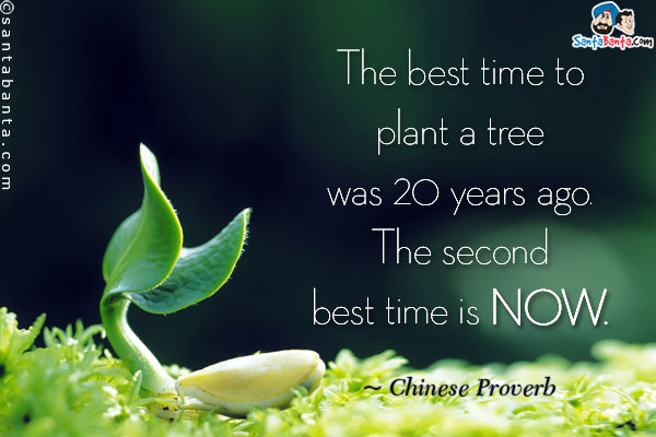 The best time to plant a tree was 20 years ago. The second best time is now.