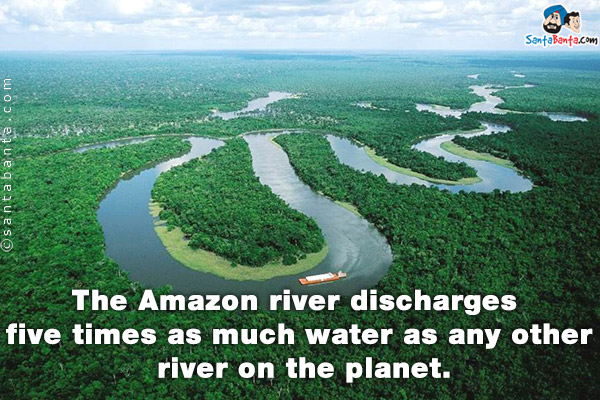 The Amazon river discharges five times as much water as any other river on the planet.