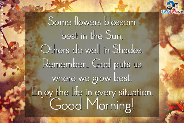 Some flowers blossom best in the Sun, others do well in shades. Remember. GOD puts us where we grow best.<br/>

Enjoy the life in every situation.<br/>

Good Morning!