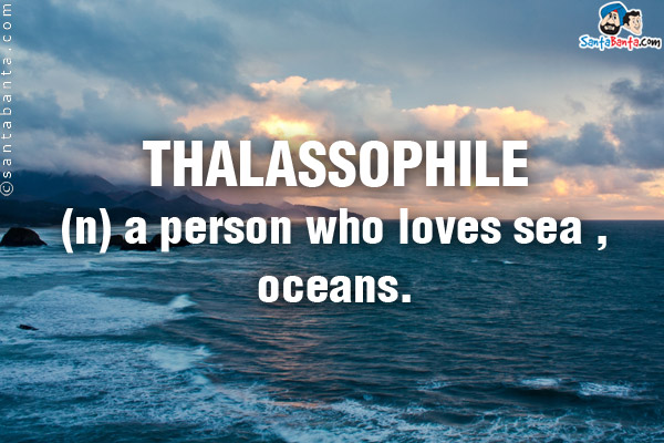 THALASSOPHILE<br/>

(n) a person who loves sea , oceans.