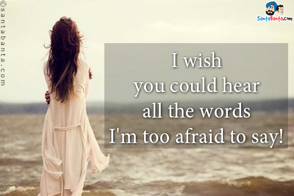 I wish you could hear all the words I'm too afraid to say!