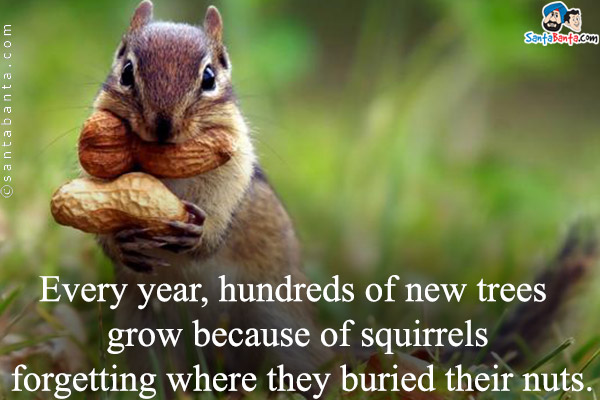 Every year, hundreds of new trees grow because of squirrels forgetting where they buried their nuts.