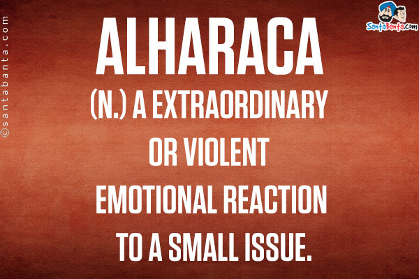 Alharaca<br/>

(n.) a extraordinary or violent emotional reaction to a small issue.