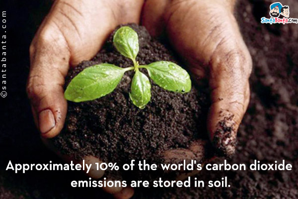 Approximately 10% of the world's carbon dioxide emissions are stored in soil.