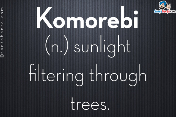 Komorebi<br/>
(n.) sunlight filtering through trees.