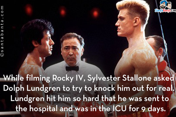 While filming Rocky IV, Sylvester Stallone asked Dolph Lundgren to try to knock him out for real. Lundgren hit him so hard that he was sent to the hospital and was in the ICU for 9 days.