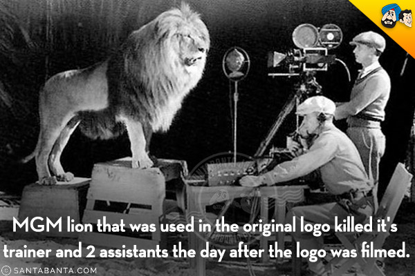 MGM lion that was used in the original logo killed it's trainer and 2 assistants the day after the logo was filmed.