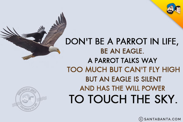 Don't be a parrot in life, be an eagle. A parrot talks way too much but can't fly high but an eagle is silent and has the willpower to touch the sky!