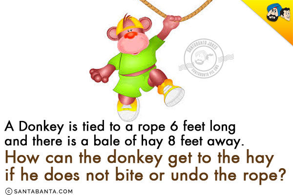 A Donkey is tied to a rope 6 feet long and there is a bale of hay 8 feet away. How can the donkey get to the hay if he does not bite or undo the rope?