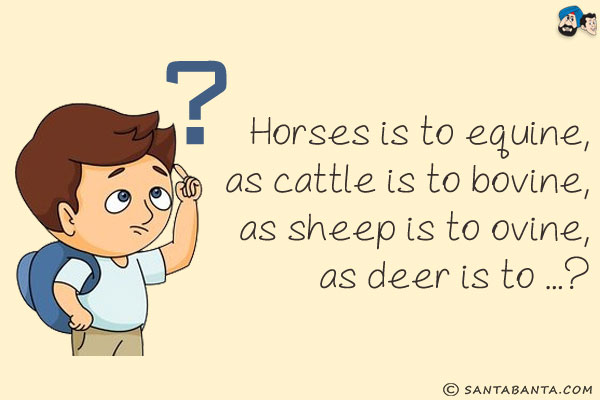 Horses is to equine, as cattle is to bovine, as sheep is to ovine, as deer is to ...?