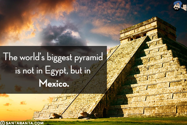 The world's biggest pyramid is not in Egypt, but in Mexico.