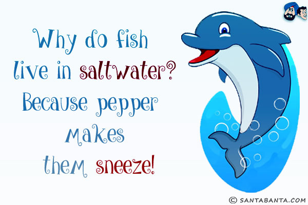 Why do fish live in saltwater?<br/>
Because pepper makes them sneeze!