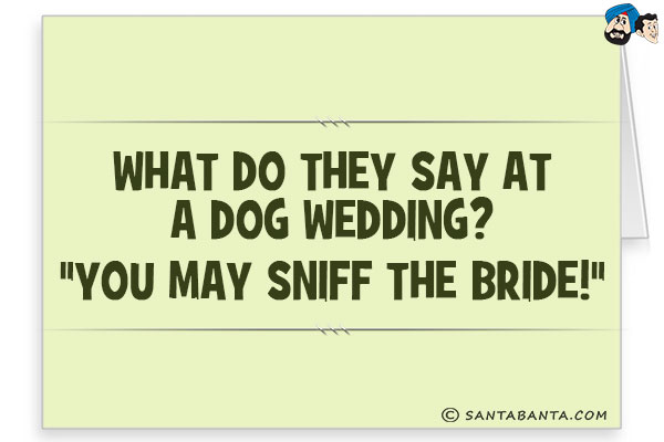 What do they say at a dog wedding?<br/>
`You may sniff the bride!`