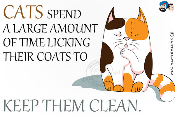 Cats spend a large amount of time licking their coats to keep them clean.