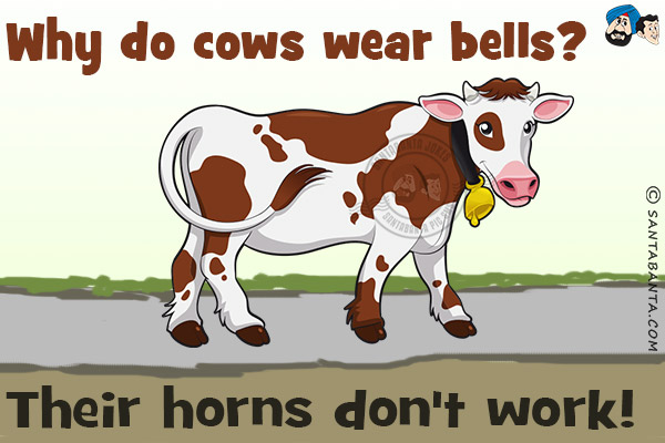 Why do cows wear bells?<br/>
Their horns don't work!