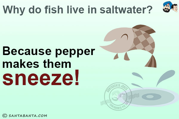 Why do fish live in saltwater?<br/>
Because pepper makes them sneeze!