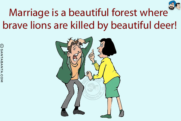 Marriage is a beautiful forest where brave lions are killed by beautiful deer!