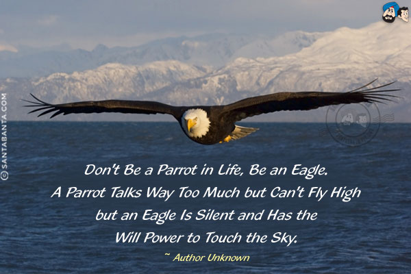 Don't be a parrot in life, be an eagle. A parrot talks way too much but can't fly high but an eagle is silent and has the will power to touch the sky.