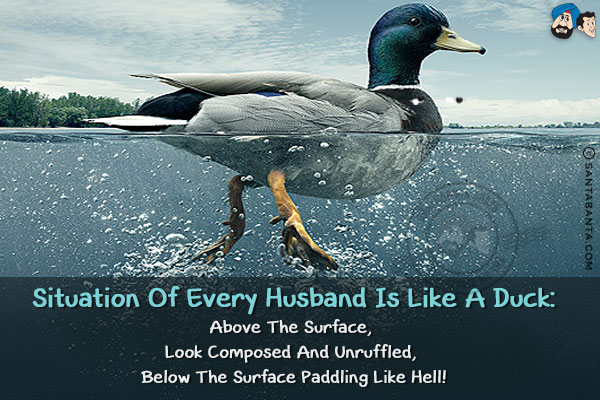 Situation of every husband is like a Duck:<br/>
Above the surface, look composed and unruffled, below the surface paddling like hell!