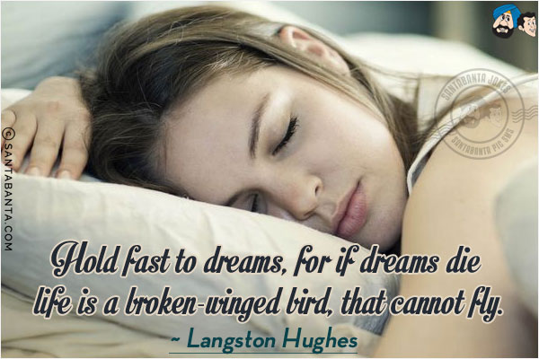 Hold fast to dreams, for if dreams die life is a broken-winged bird, that cannot fly.