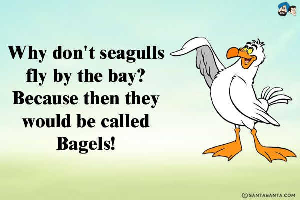 Why don't seagulls fly by the bay?<br />
Because then they would be called Bagels!<br />