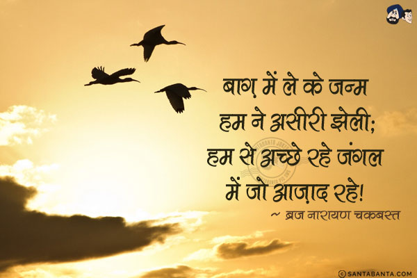 बाग़ में ले के जन्म हम ने असीरी झेली;<br/>
हम से अच्छे रहे जंगल में जो आज़ाद रहे!
