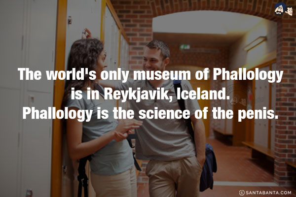 The world's only museum of Phallology is in Reykjavik, Iceland. Phallology is the science of the penis.