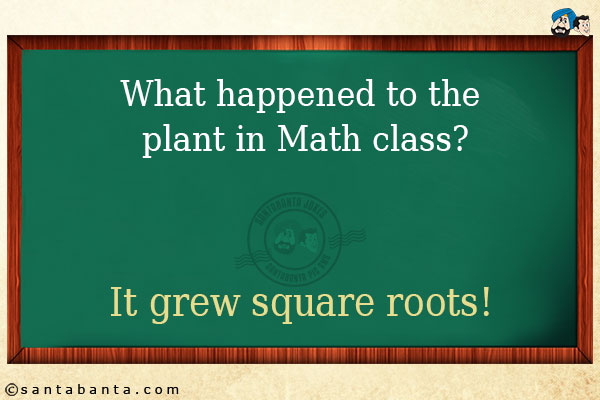 What happened to the plant in Math class?<br/>
It grew square roots!