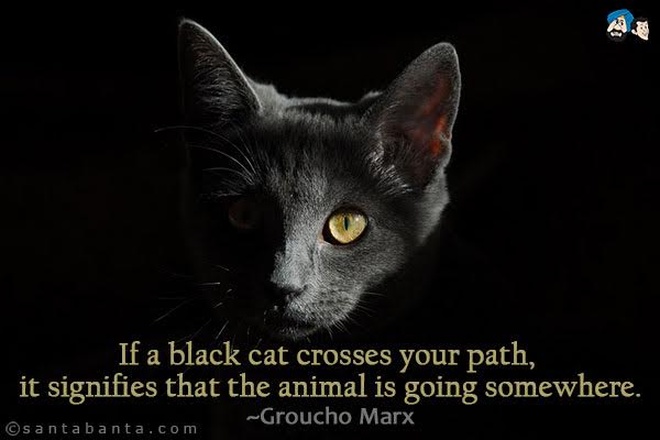 If a black cat crosses your path, it signifies that the animal is going somewhere.