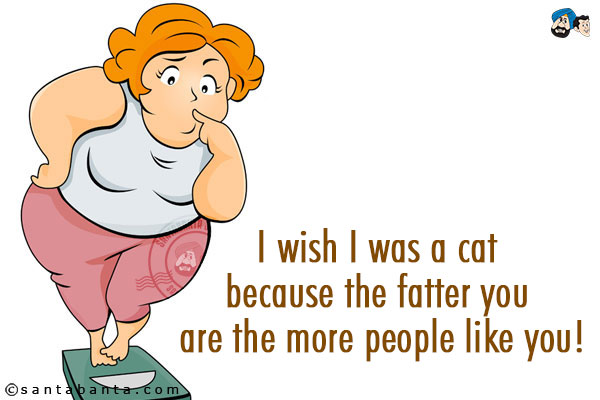 I wish I was a cat because the fatter you are the more people like you!