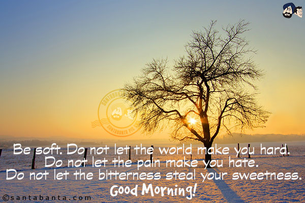 Be soft. Do not let the world make you hard. Do not let the pain make you hate. Do not let the bitterness steal your sweetness.<br/>
Good Morning!