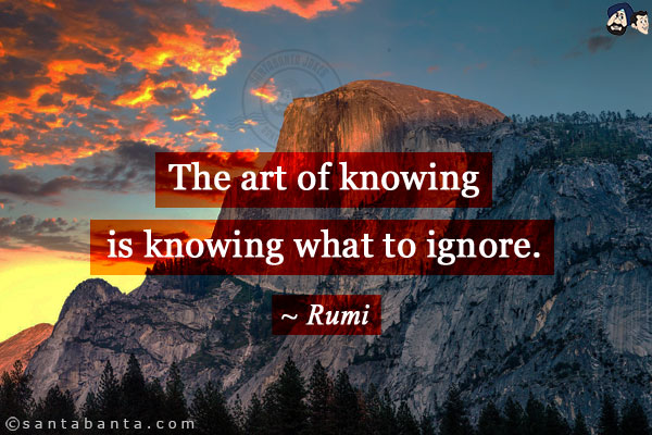 The art of knowing is knowing what to ignore.