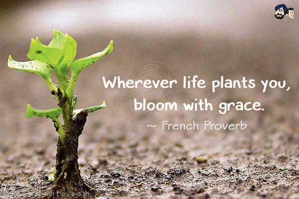 Wherever life plants you, bloom with grace.