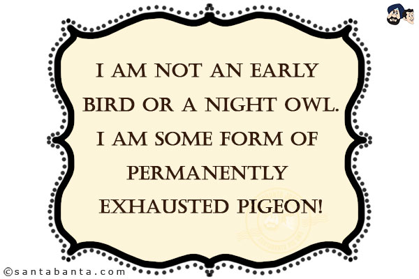 I am not an early bird or a night owl.<br/>
I am some form of permanently exhausted pigeon!