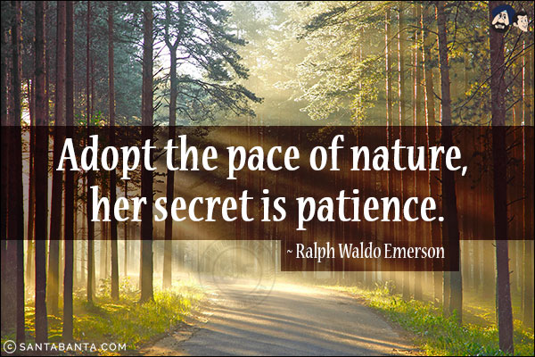 Adopt the pace of nature, her secret is patience.
