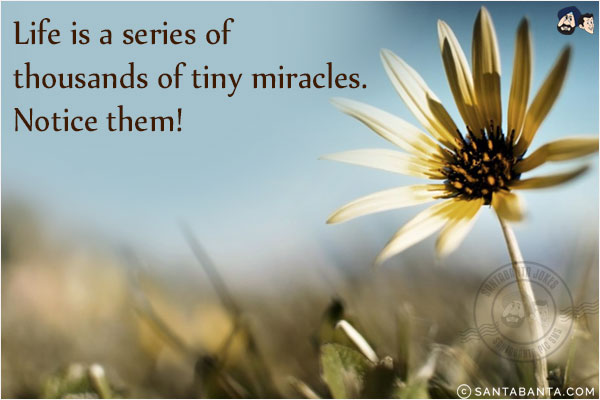 Life is a series of thousands of tiny miracles. Notice them!