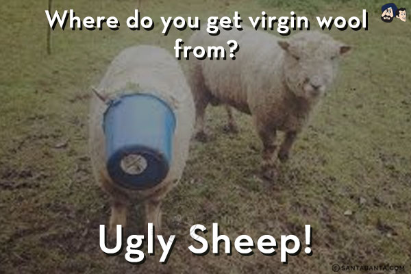Where do you get virgin wool from?<br/>
Ugly Sheep!