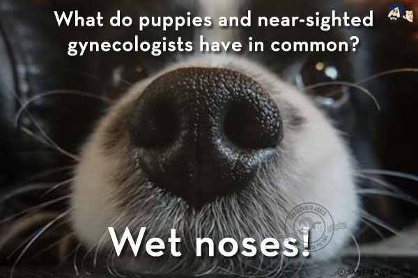 What do puppies and near-sighted gynecologists have in common?<br/>
Wet Noses!