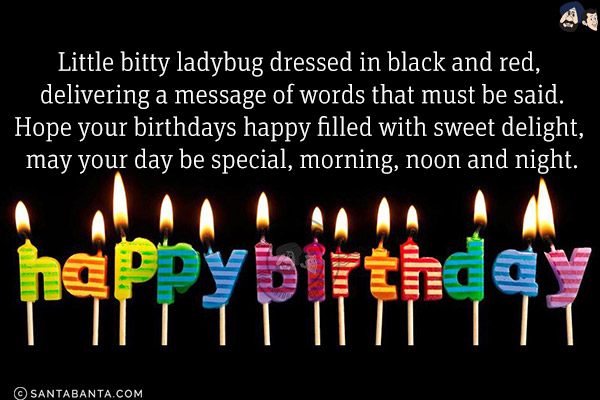 Little bitty ladybug dressed in black and red, delivering a message of words that must be said.<br/>
Hope your birthdays happy filled with sweet delight, may your day be special, morning, noon and night.<br/>
Happy Birthday!