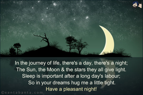 In the journey of life, there's a day, there's a night;<br/>
The Sun, the Moon & the stars they all give light.<br/>
Sleep is important after a long day's labour;<br/>
So in your dreams hug me a little tight.
Have a pleasant night!