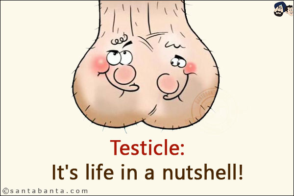 Testicle:<br/>
It's life in a nutshell!