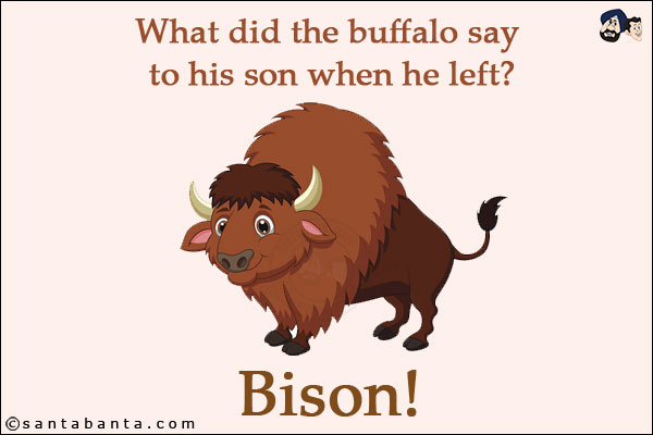 What did the buffalo say to his son when he left?<br/>
Bison!