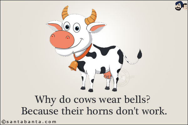 Why do cows wear bells? <br/>
Because their horns don't work.