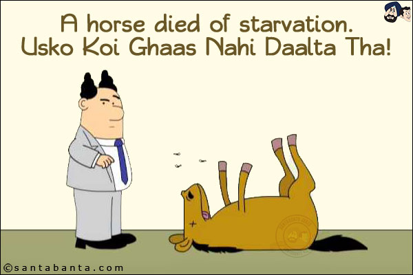 A horse died of starvation.<br/>
Usko Koi Ghaas Nahi Daalta Tha!