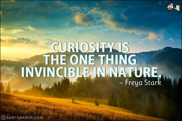 Curiosity is the one thing invincible in Nature.