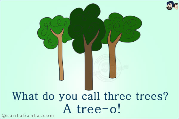 What do you call three trees?<br/>
A tree-o!