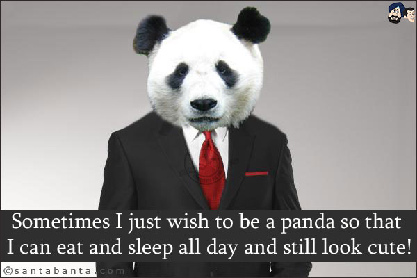 Sometimes I just wish to be a panda so that I can eat and sleep all day and still look cute!
