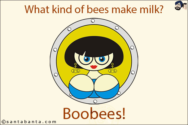 What kind of bees make milk?<br/>
Boobees!
